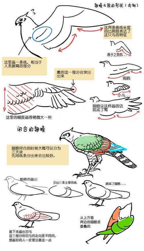 ai鸟类识别文案怎么做