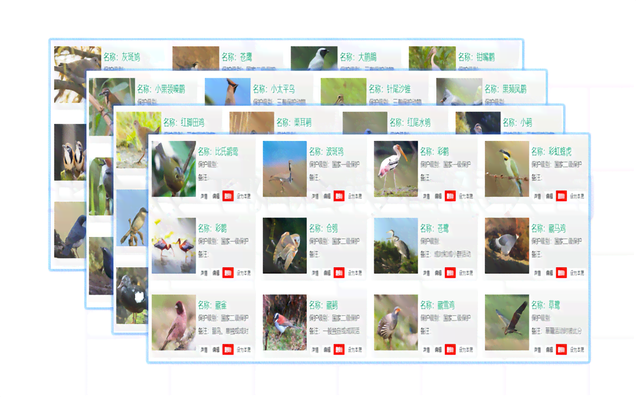 ai鸟类识别文案怎么做