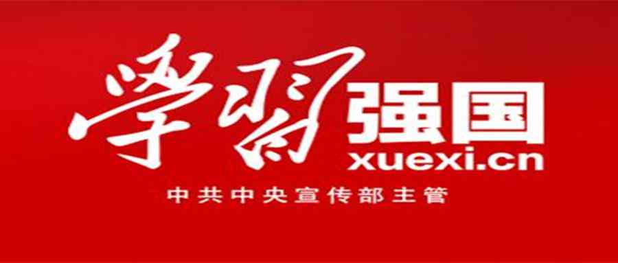《新时代思想政治修养作业汇编：综合分析与论文写作指南》
