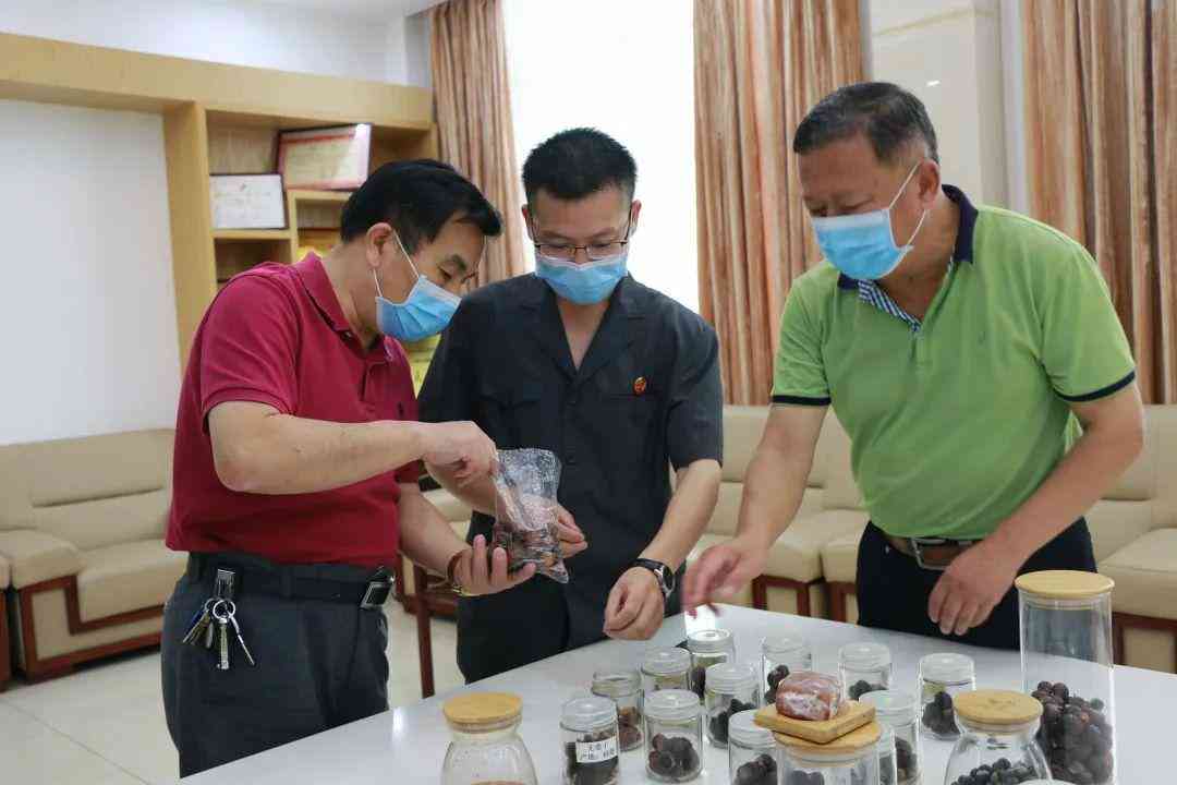 认定工伤的原则：包含与不包括的三大核心原则概述