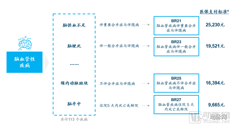 '全面个人健体检报告：身体指标与健状况详析'