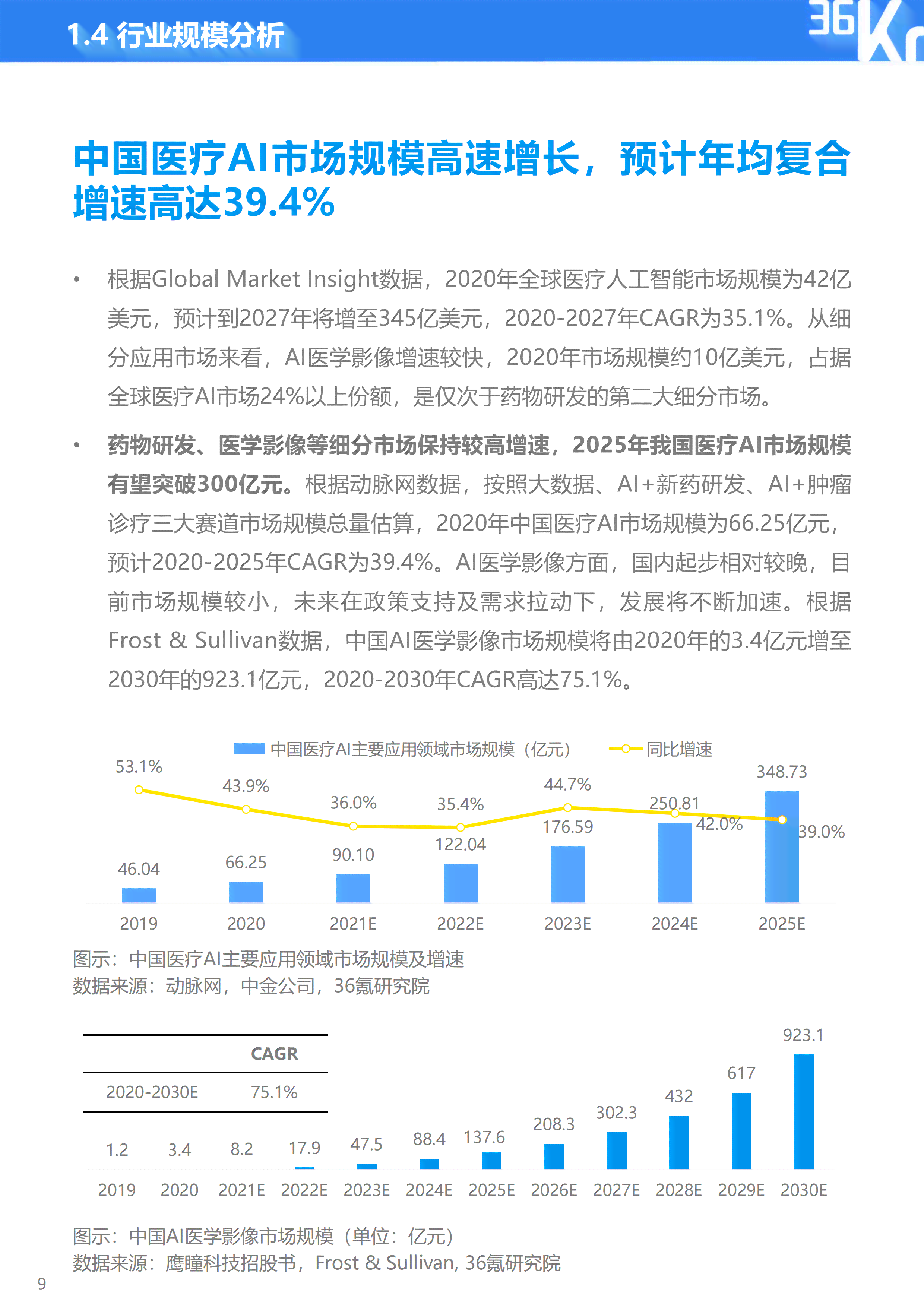 ai专业研究报告