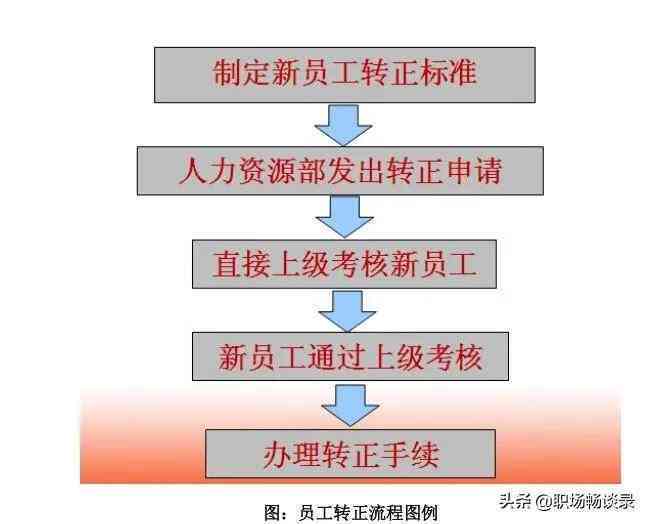 企业招聘标准指南：全面解析任职资格与选拔流程