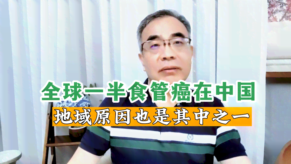 字nAI应用的研究报告有哪些：内容、类型与关注方面概述