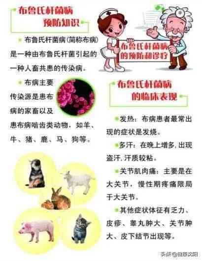 传染病布病可以认定工伤吗