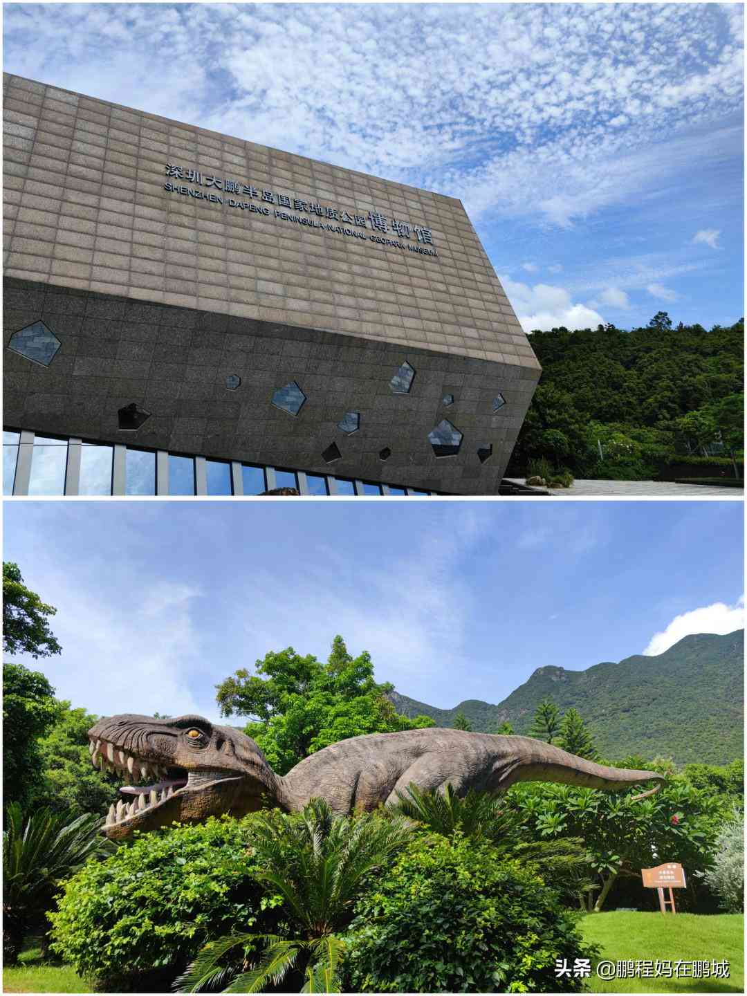 火山书写：探索火山地质奥秘与历印记的记录方式
