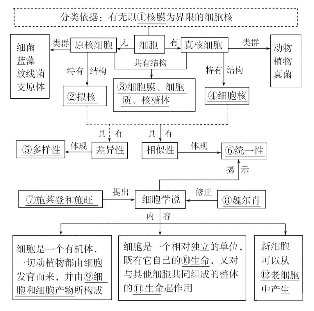 个人如何进行伤情鉴定：自助鉴定流程与必备知识解析
