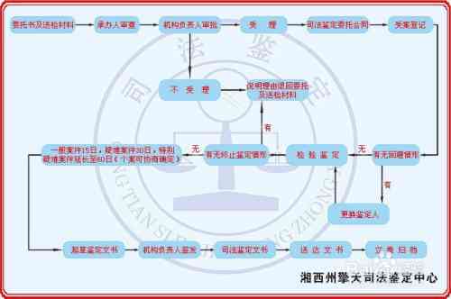 伤情怎么鉴定：如何区分新伤与旧伤、确定当时受的伤及鉴定标准