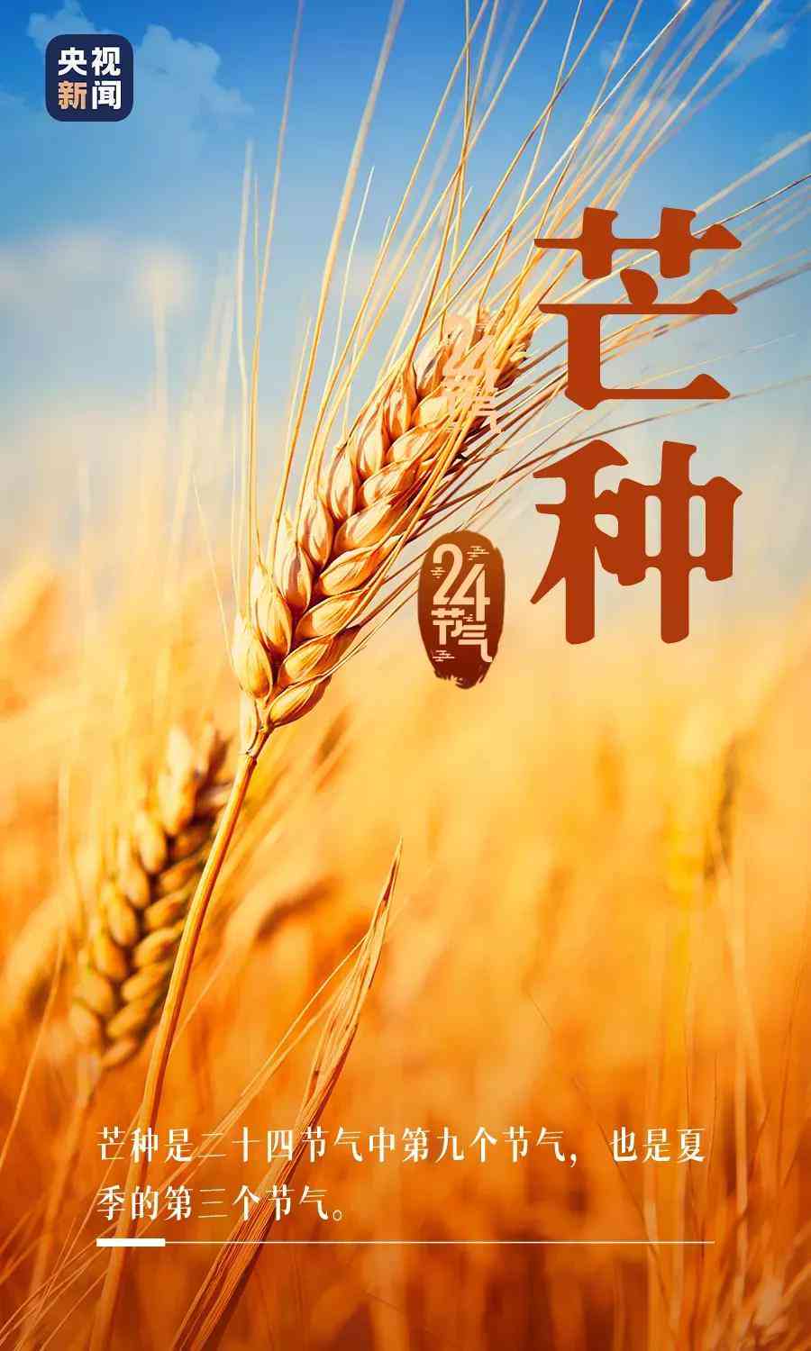 2023热门解说文案评测：哪款神器助你高效创作