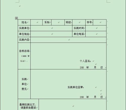 社会实践调查报告表格式和范文：撰写指南与模板示例