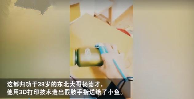 工伤食指损伤等级认定标准及条件》