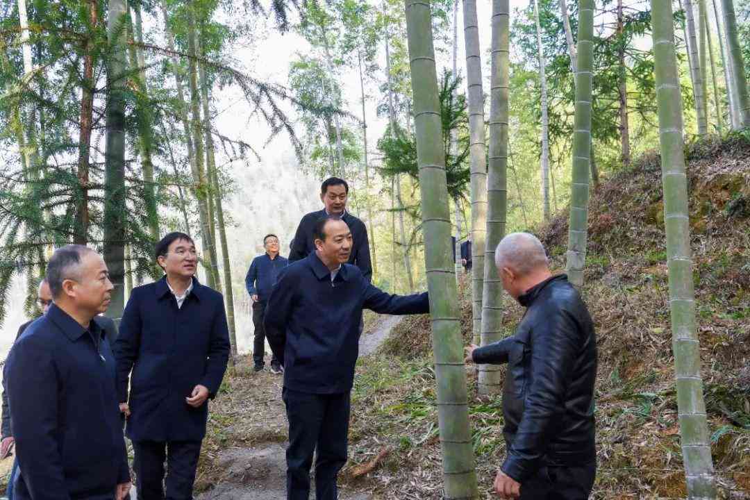 解析低效企业的含义、特征及其对经济发展的影响