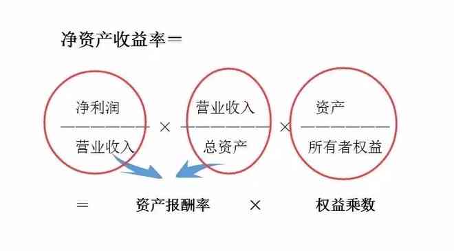 企业效率评估：低效企业识别与认定标准解析