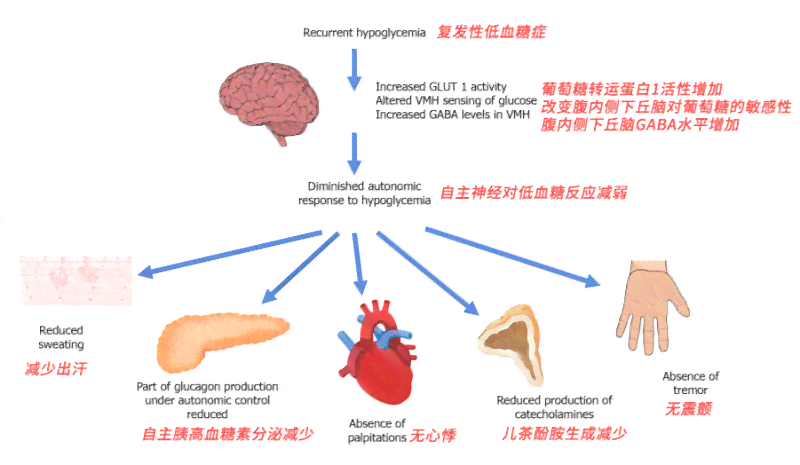 低血糖导致的晕厥：是否存在生命风险与紧急应对措
