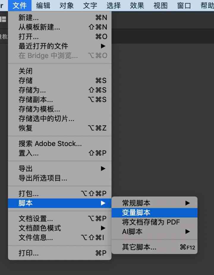 ai安装的脚本出不来文件：解决方法、安装路径及常见问题解析