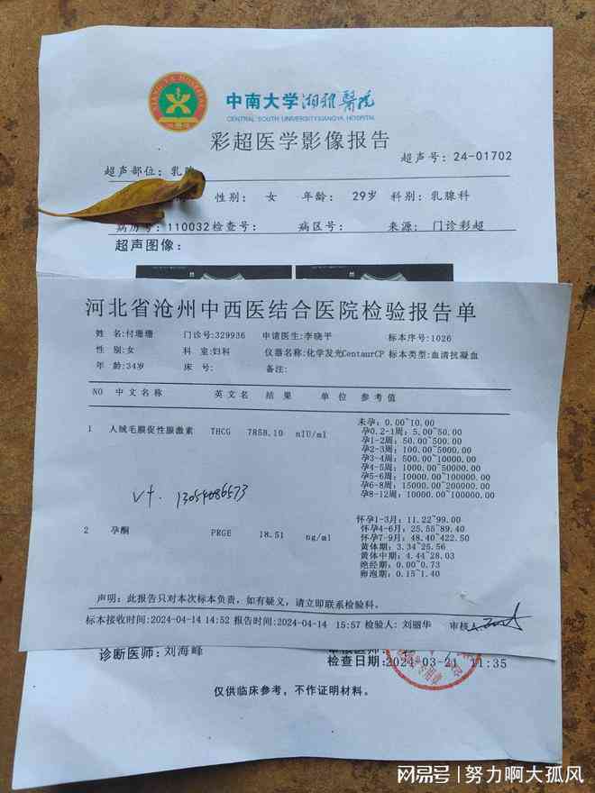 住院病历中包含哪些检查结果及详细报告解读指南