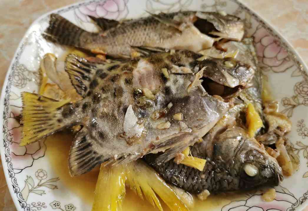智能写作助手——火龙果软件高效与使用指南