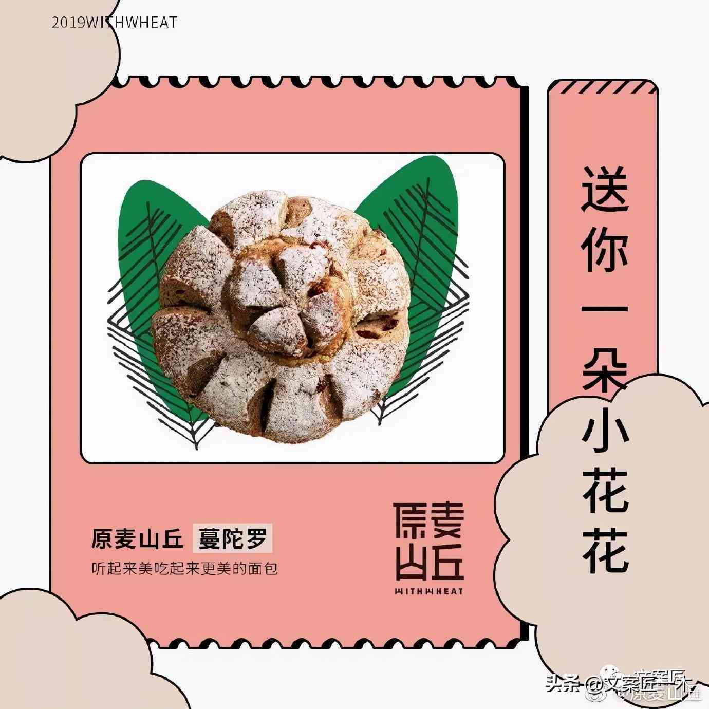 全方位掌握网红文案撰写攻略：如何撰写吸引粉丝的黄金文案及提升内容影响力