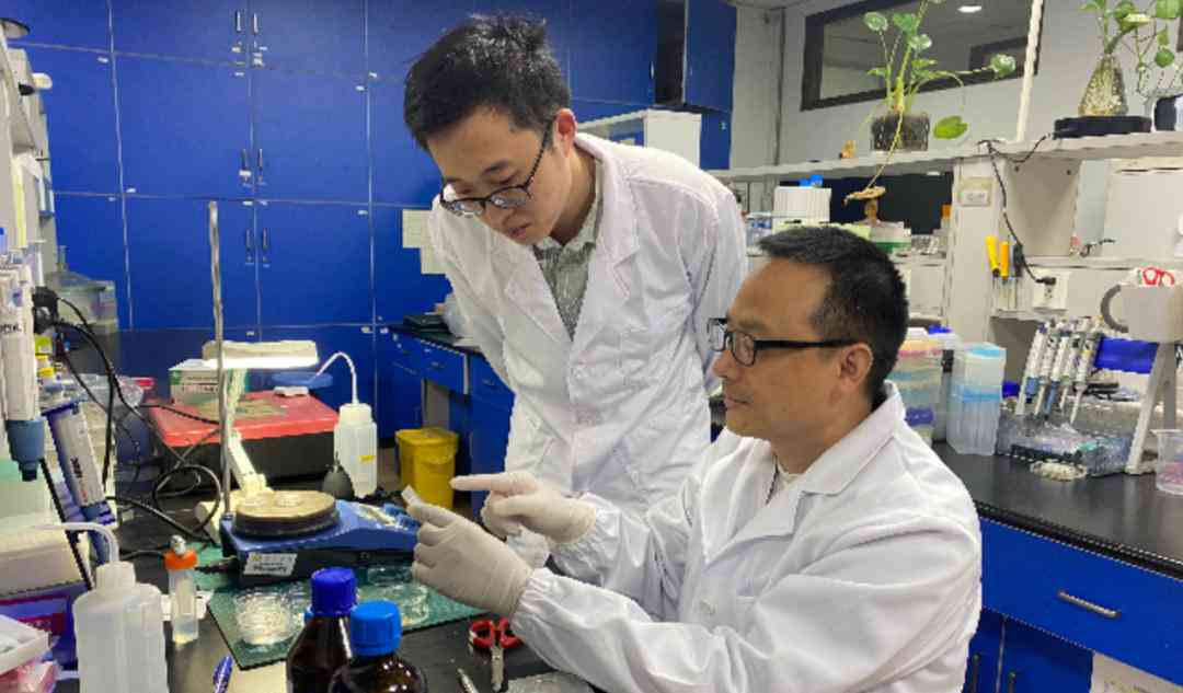 '基于AI辅助实验设计的心得体会与感悟'