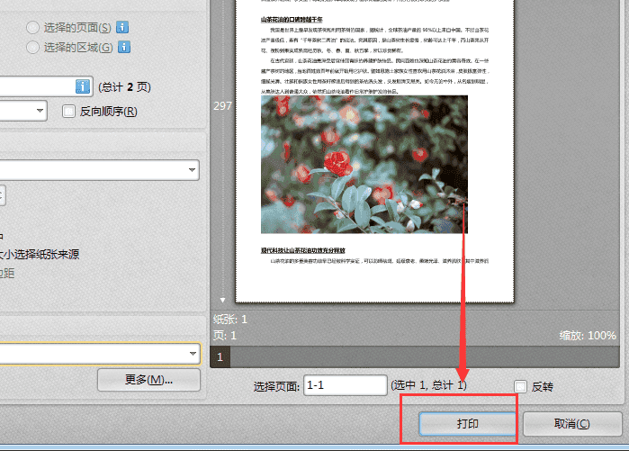 PDF阅读编辑：AI如何打开多个PDF页面及文件同时打印