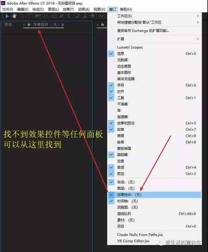 全面指南：使用After Effects导出脚本及常见问题解决方案