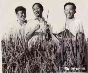 免费业论文AI写作助手软件精选推荐