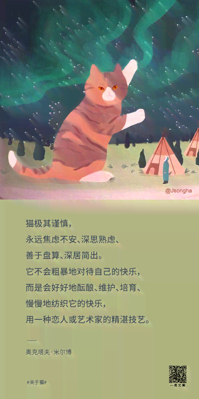掌握AI猫咪：打造个性化猫咪训练文案金句集锦