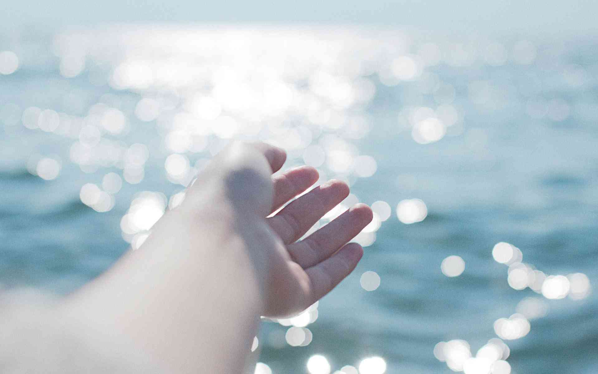 树林拍照的文案：创意短句、说说句子及照片配文精选