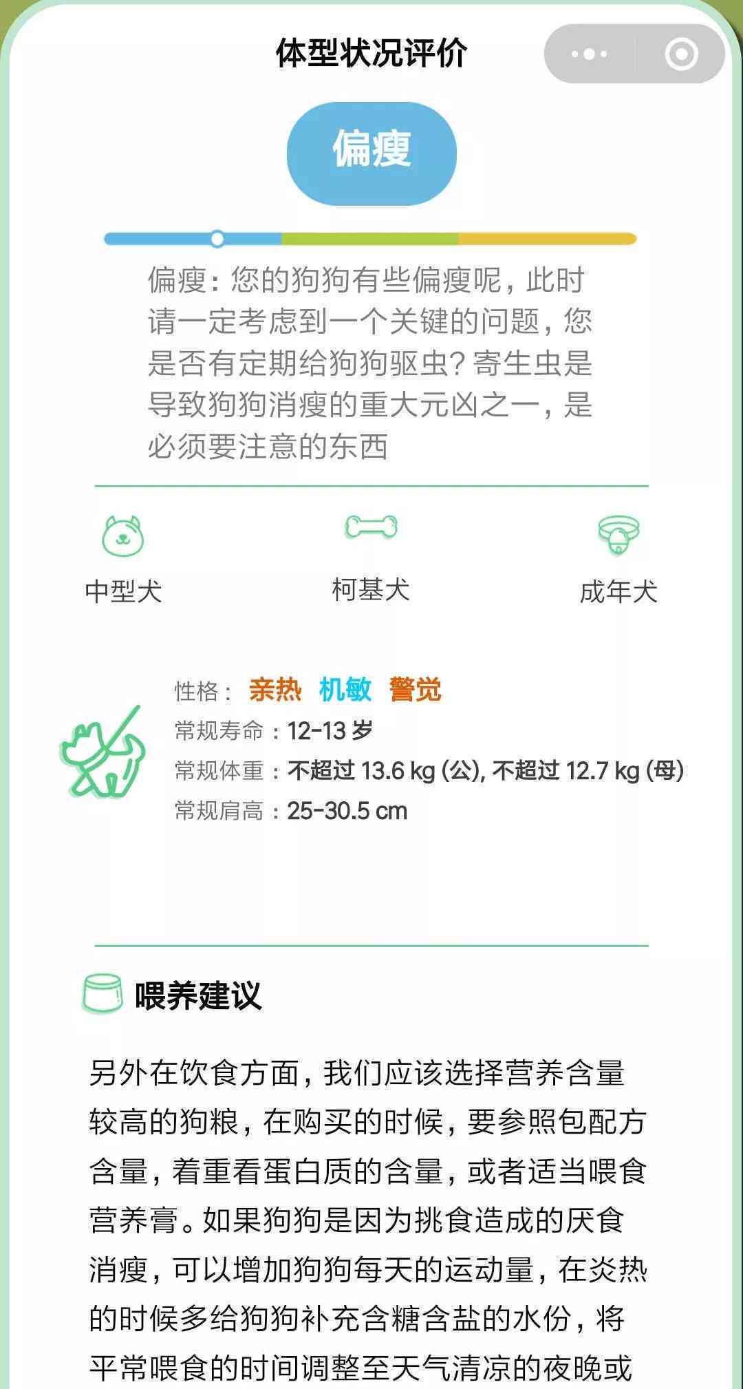 文案狗ai写作软件怎么样