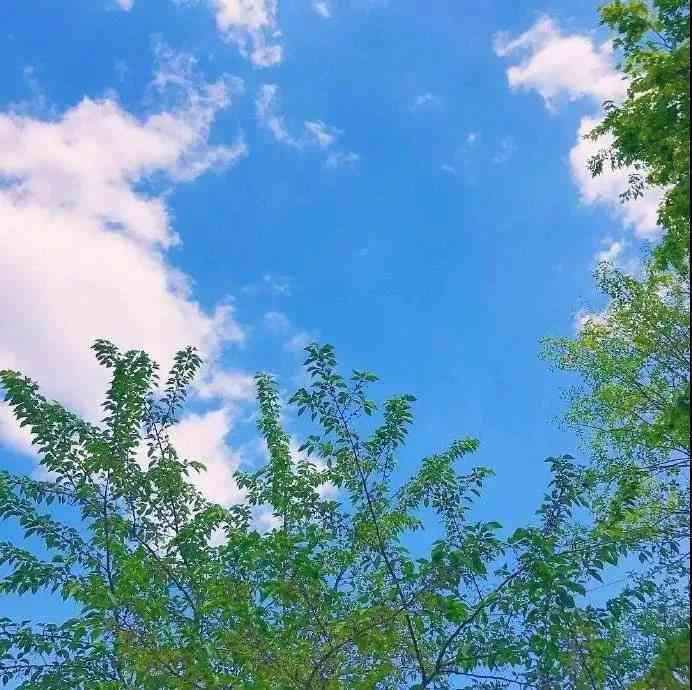 适合写朋友圈的文案：经典句子与文章精选