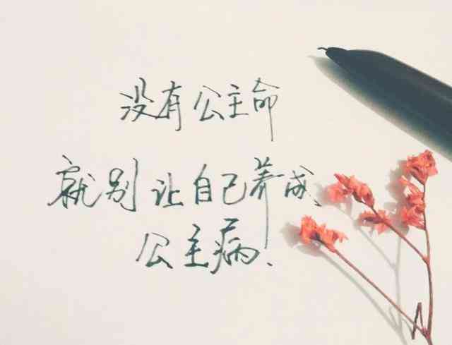心灵禅语：小和的情感智慧语录