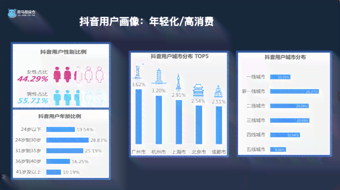 抖音画像用户标签：解析用户画像标签化及其在抖音平台的应用与实践