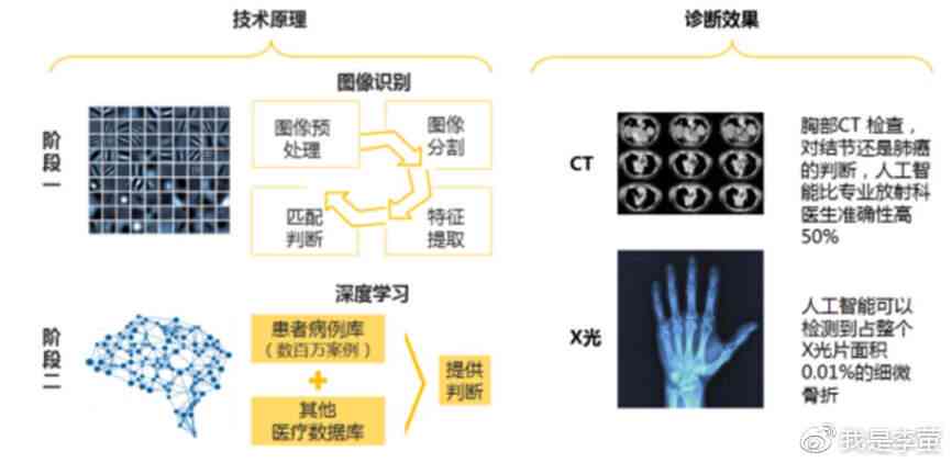 全方位解析：AI医学影像诊断技术的应用与前沿发展