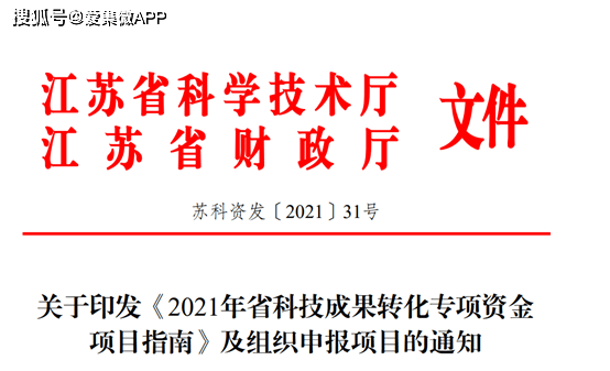 AI辅助开发项目总结报告：关键成果与经验汇总