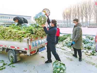 公司是否可以自己申请工伤认定：工伤认定流程详解