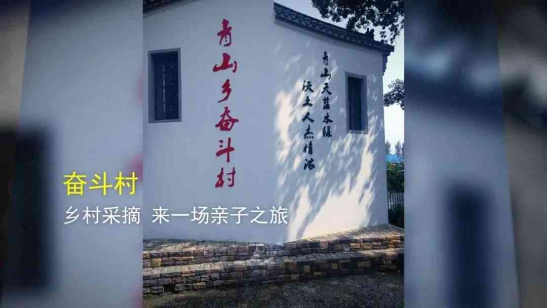 椿树文案：城市记忆与乡村情怀交织的暖故事集锦