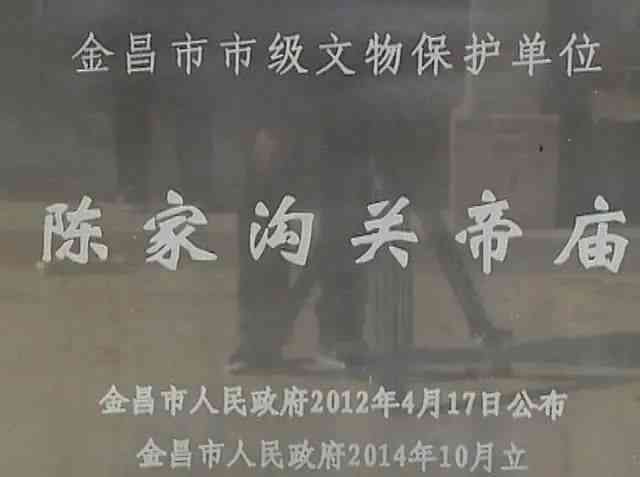 椿树文案：城市记忆与乡村情怀交织的暖故事集锦