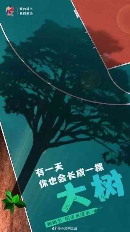 椿树文案：城市记忆与乡村情怀交织的暖故事集锦