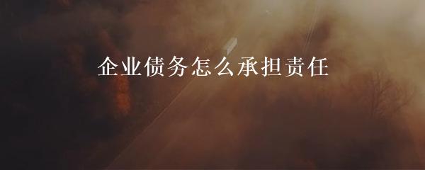 企业债务偿还责任主体解析：探析谁来担责