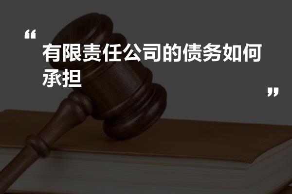 企业债务偿还责任主体解析：探析谁来担责