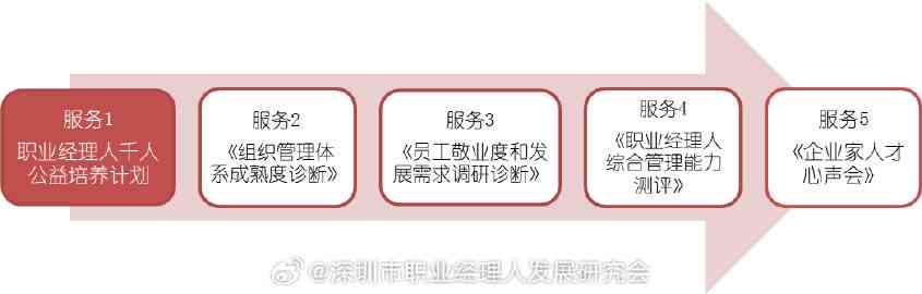 公益领域从业人员职业发展与工作职责详解