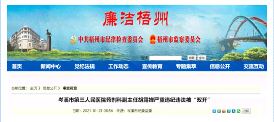 公职人员违规开设公司：法律责任、查处流程与防范措详解