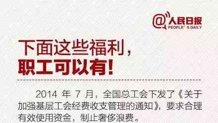 '公职人员违规开设公司触犯哪项律规定'