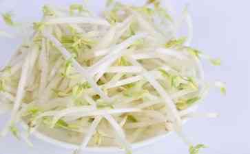 豆芽范文两篇：豆芽作文攻略与200字优秀范文示例