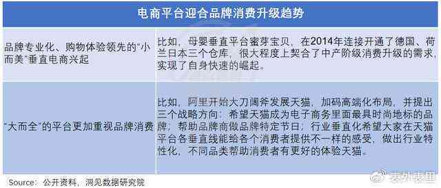 全面评测豆芽作文：功能、优势与用户真实体验解析