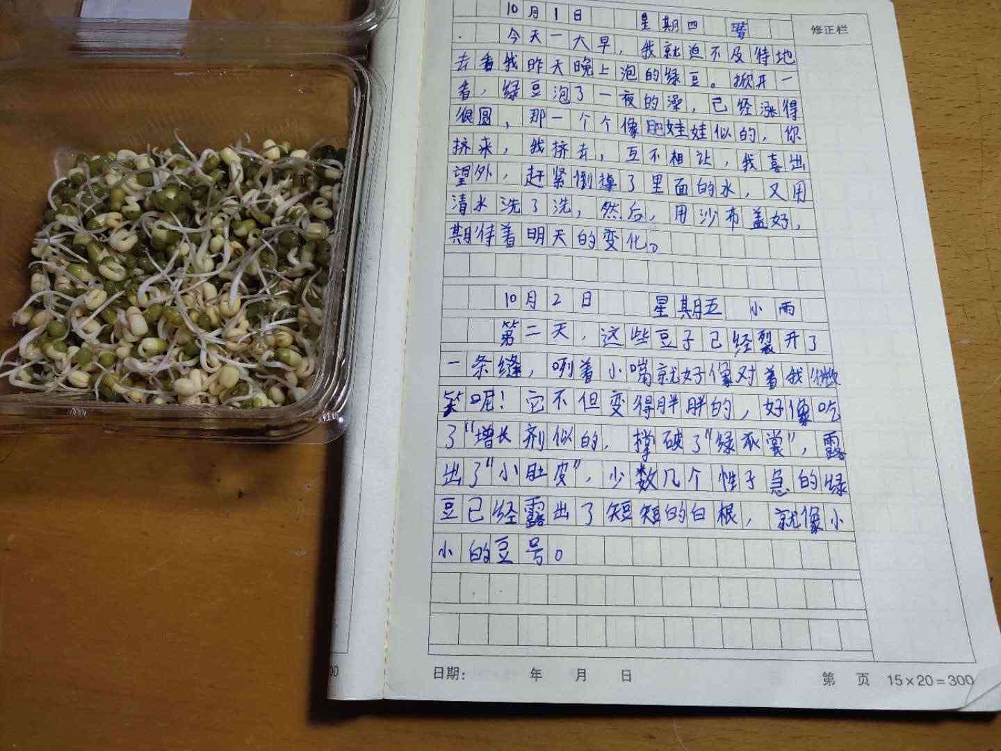 豆芽优秀作文：观察日记600字写作指导与400字范文精选