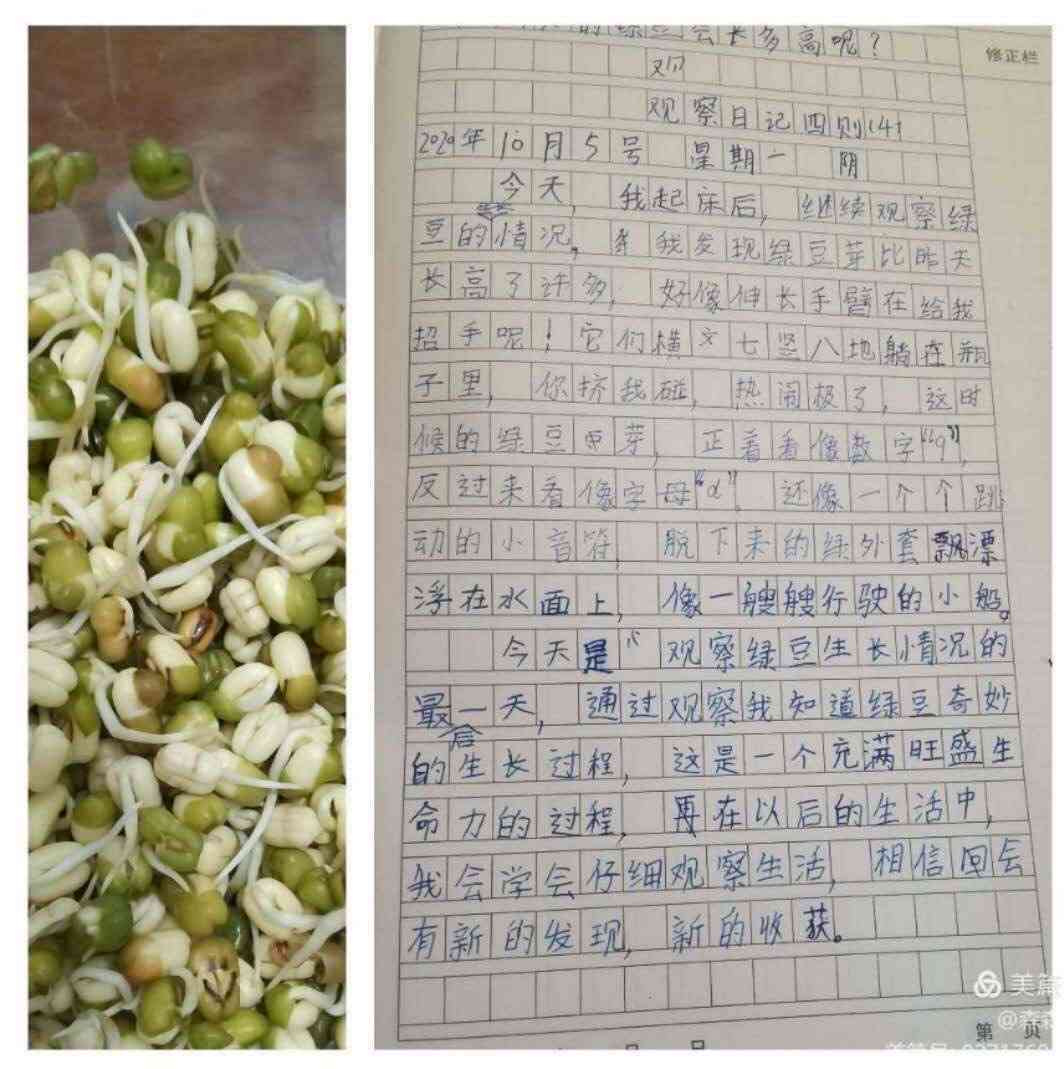 豆芽优秀作文：观察日记600字写作指导与400字范文精选