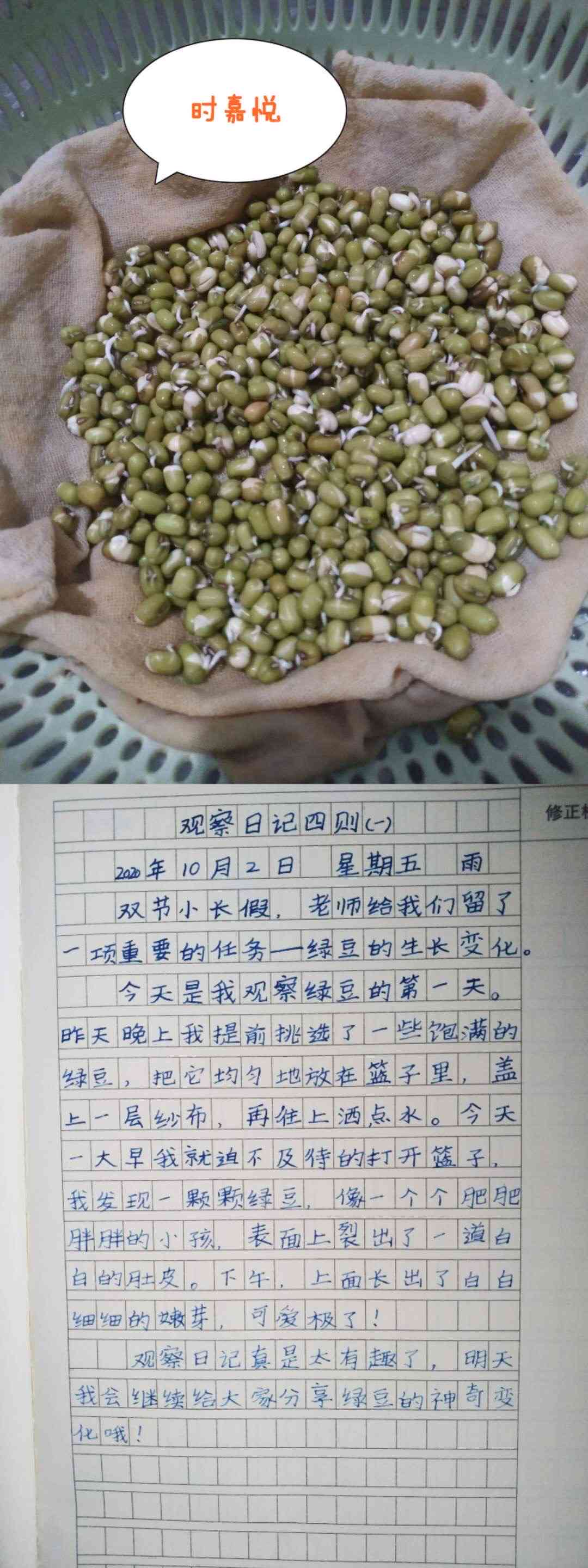 豆芽优秀作文：观察日记600字写作指导与400字范文精选