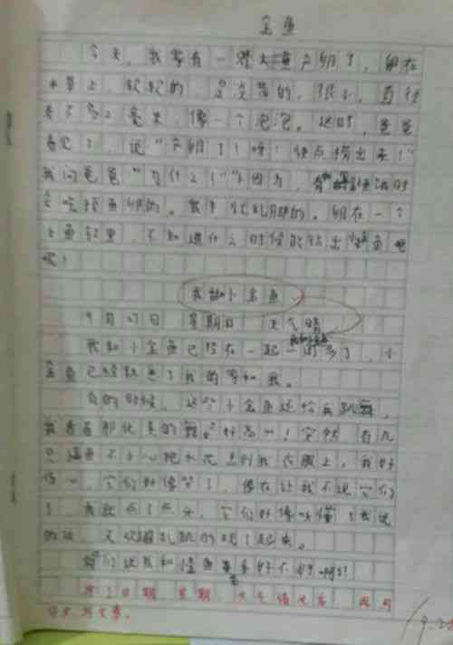 豆芽优秀作文：观察日记600字写作指导与400字范文精选