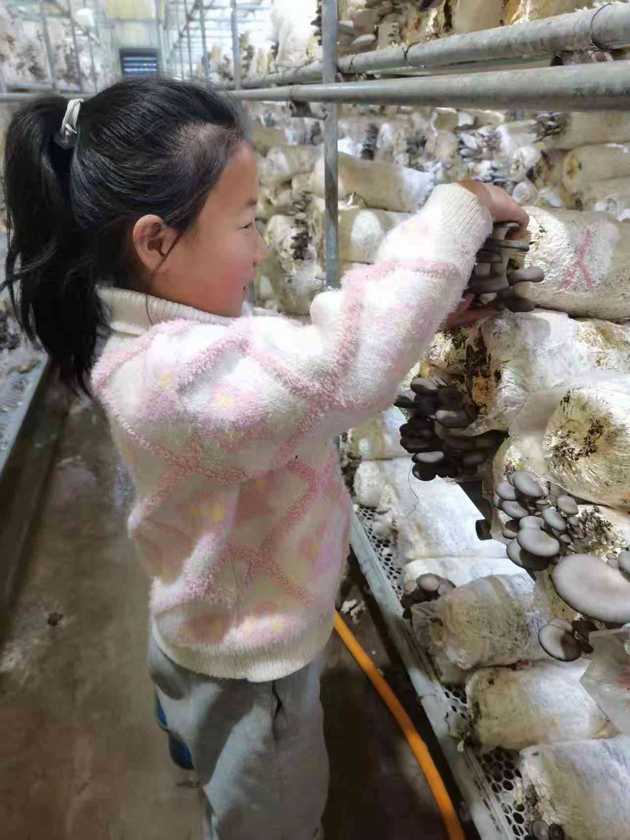 豆芽成长记：探索豆芽儿的培育过程与生活启示